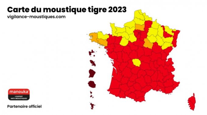 Le moustique tigre est présent dans 71 % du territoire français