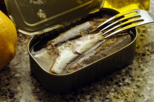 La sardine à l&apos;huile
