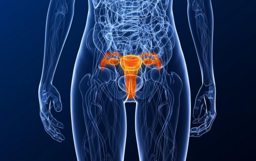 Cancer du col de l’utérus : son pronostic se dégrade