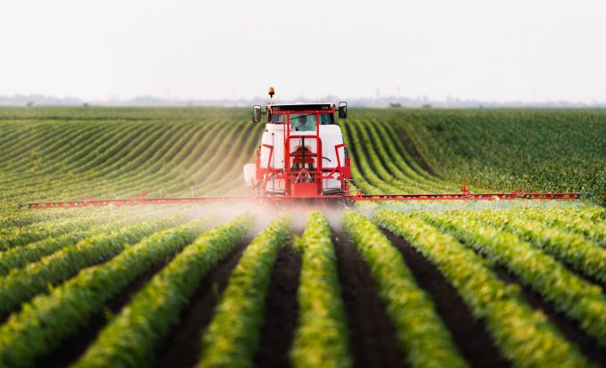 L&apos;impact des pesticides sur la santé