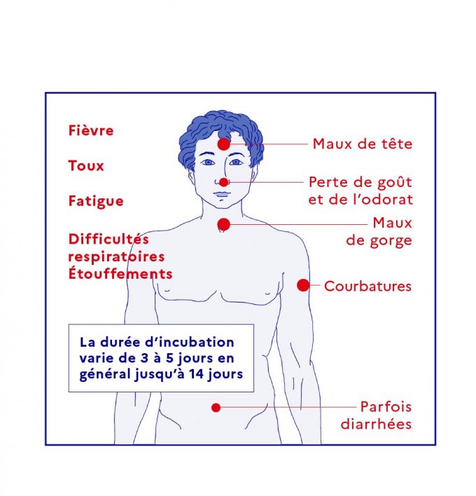 Infographie : les symptômes fréquents du Covid-19