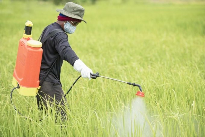 Les herbicides, qu’est-ce que c’est ?
