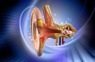 Le vertige et la tumeur du nerf auditif