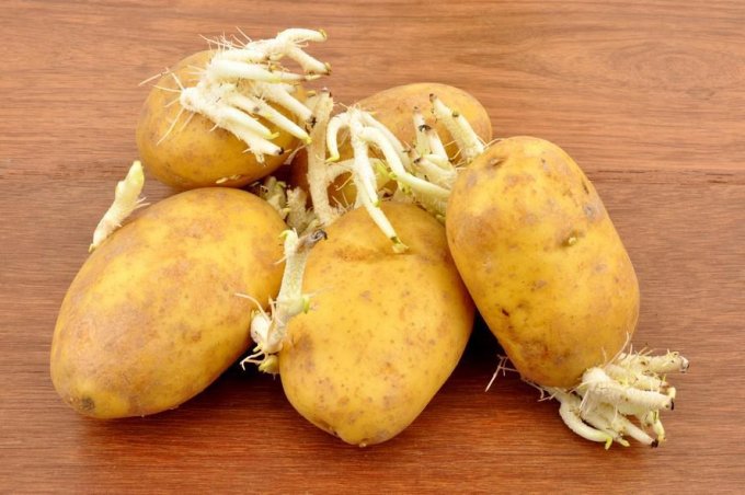 Erreur 6 : cuisiner des pommes de terre germées