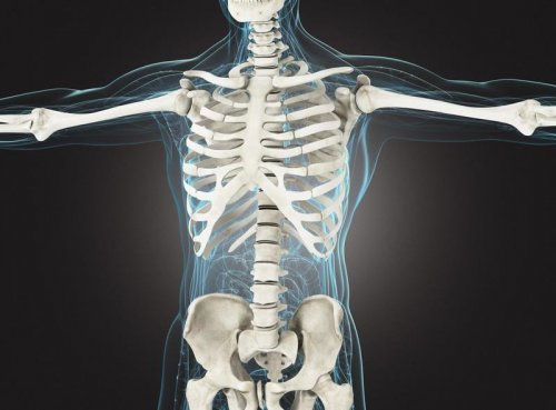 Risque de fragilisation des os : consulter un rhumatologue