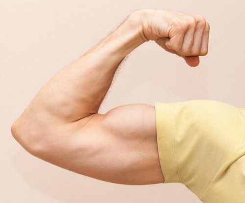 Un biceps c’est quoi ?