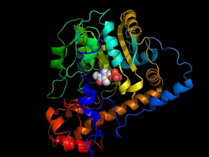  Schéma d&apos;une aspartate aminotransférase