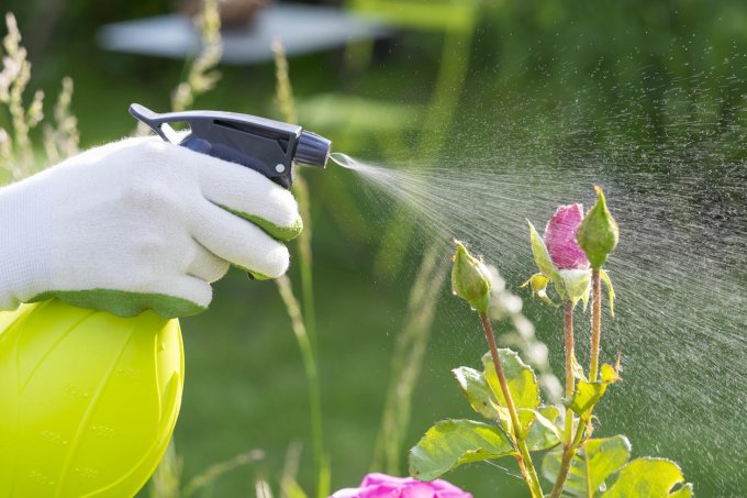 Eviter les pesticides
