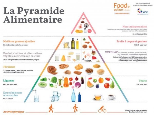Photo : la pyramide alimentaire revue en 2020
