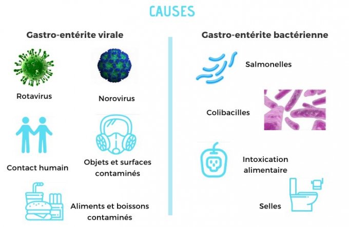 Les causes de la gastro-entérite : virale ou bactérienne