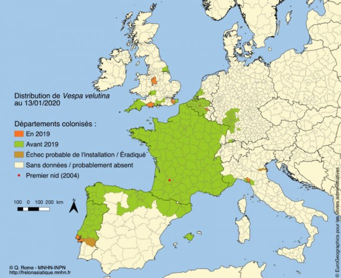 Carte 2020 de la présence du frelon asiatique en France