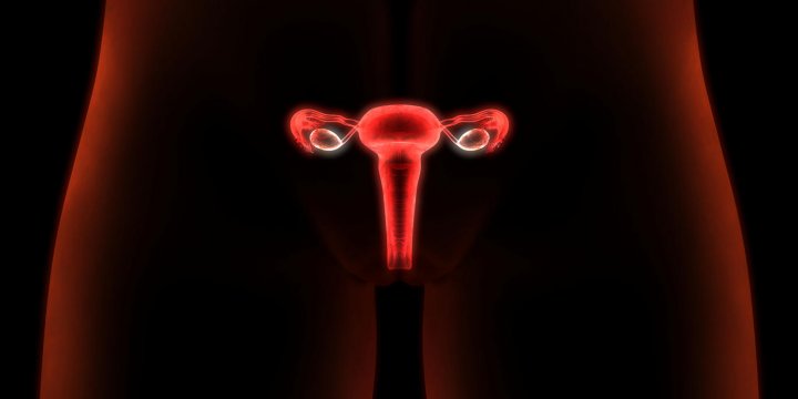 Col de l'utérus : le traitement du frottis inflammatoire