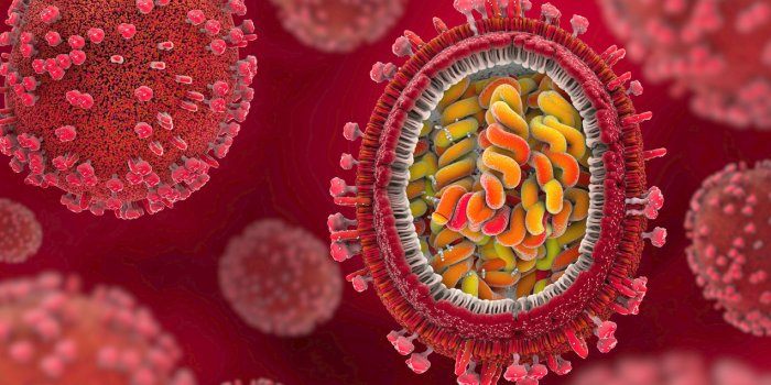 Les pires pandémies de l’Histoire : choléra, peste, grippe espagnole...