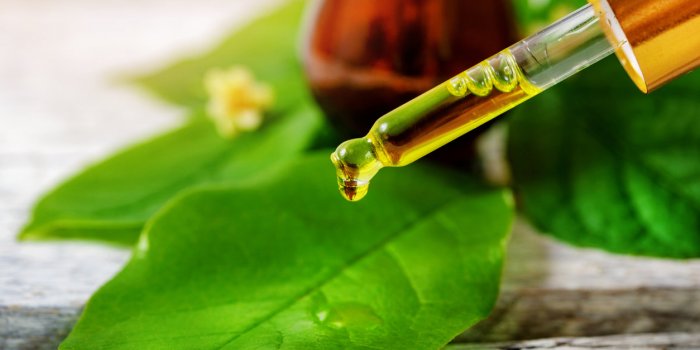 8 huiles essentielles antivirales à diffuser chez soi en urgence !