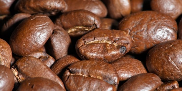 coffee beans, close up photograph taken in studio