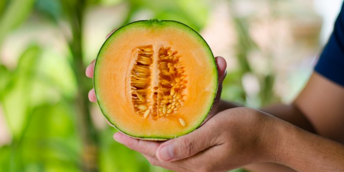 Melon : 8 astuces pour bien le choisir !