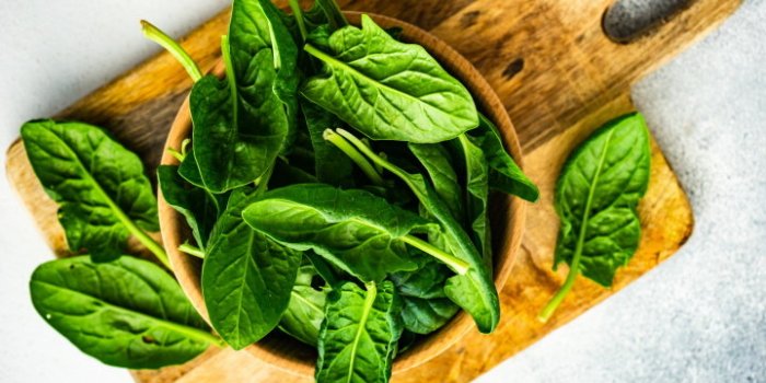 wooden bowl full of organic fresh baby spinach leaves on white concrete background