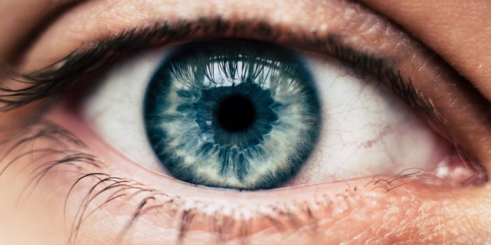10 choses insolites à savoir sur les yeux