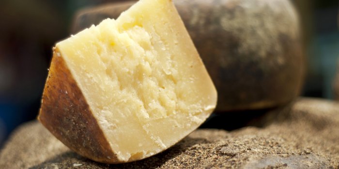 Les 10 fromages qui contiennent le plus de calcium
