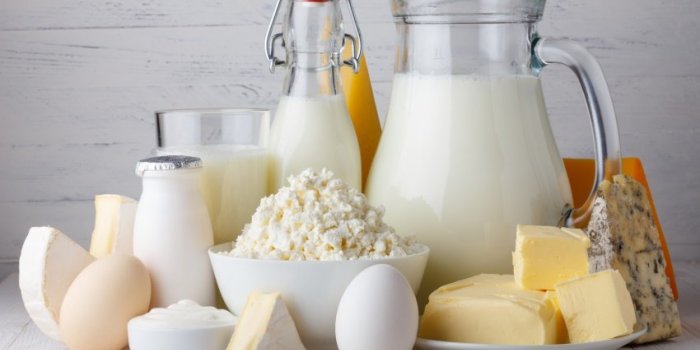 dairy products, milk, cottage cheese, eggs, yogurt, sour cream and butter on wooden table