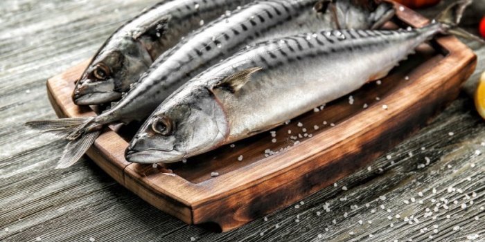 board with tasty raw mackerel fish on wooden table