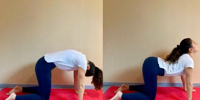 Yoga : 5 postures pour bien digÃ©rer la dinde de NoÃ«l