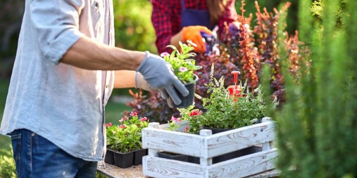 Alzheimer, vitamine D, ostÃ©oporoseâ¦ Les bienfaits du jardinage sur la santÃ©