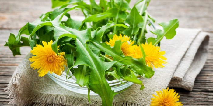 5 légumes à feuilles vertes que vous devriez manger tous les jours