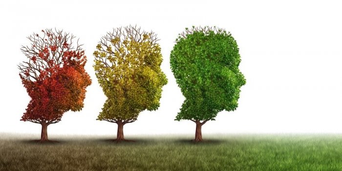 Alzheimer, dÃ©menceâ¦ 5 signes que vous souffrez dâune maladie neurodÃ©gÃ©nÃ©rative