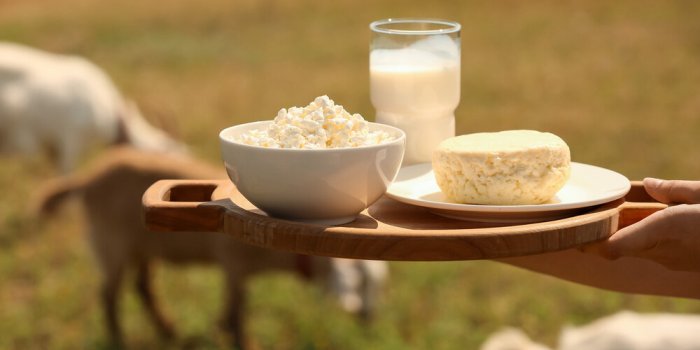 Conso : rappel massif de plusieurs fromages de chÃ¨vres dans toute la France