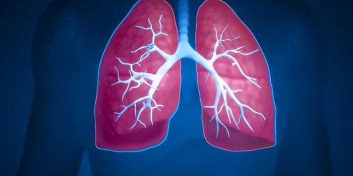 Cancer du poumon : 5 mythes sur la maladie Ã  ne plus croire