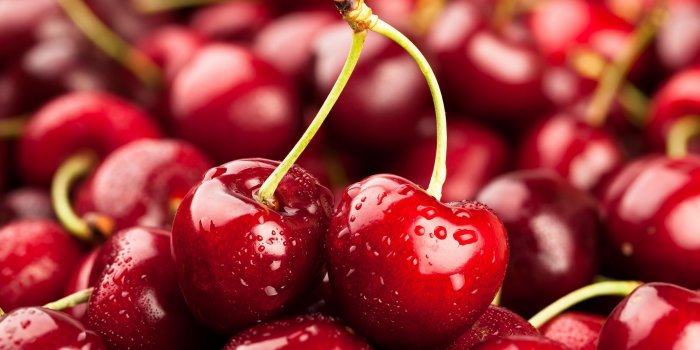10 fruits qu'il vaut mieux éviter le matin 