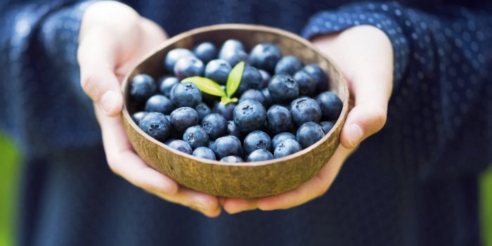 young girlâs hands holding a bowl with fresh ripe blueberries harvest of summer berries vegan lifestyle and healthy eat...