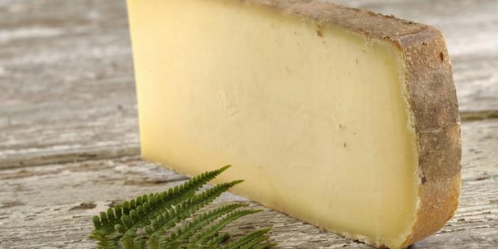 Quels sont les fromages qui font le moins grossir?