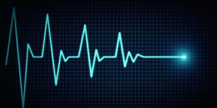 heart beat line end of life