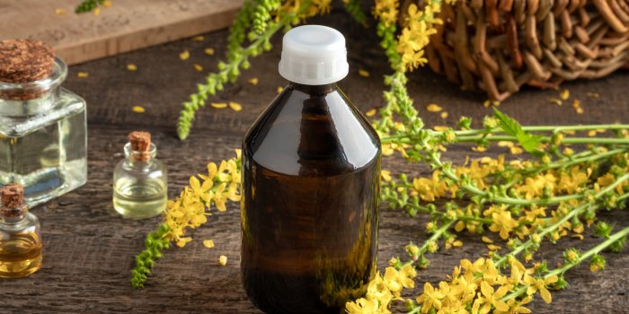 a bottle of tincture with fresh blooming agrimony plant, with essential oils in the background