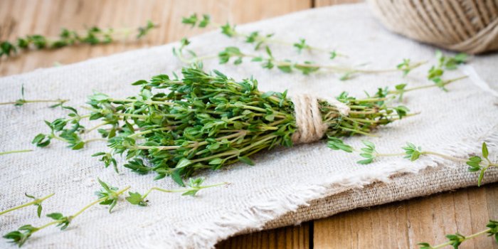 10 herbes et épices anti-inflammatoires 