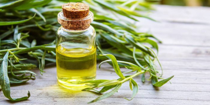 Sciatique : 5 huiles essentielles qui soulagent les douleurs