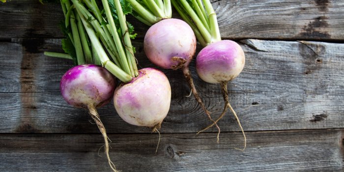 Choux, brocolis... Ces légumes pourraient protéger vos vaisseaux sanguins