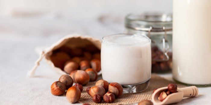 fresh organic vegan hazelnut milk alternative source of protein