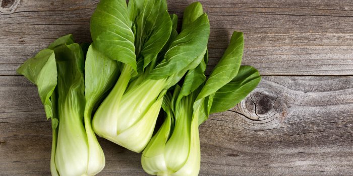 overhead shot of chinese cabbage, bok choy, on rustic wood