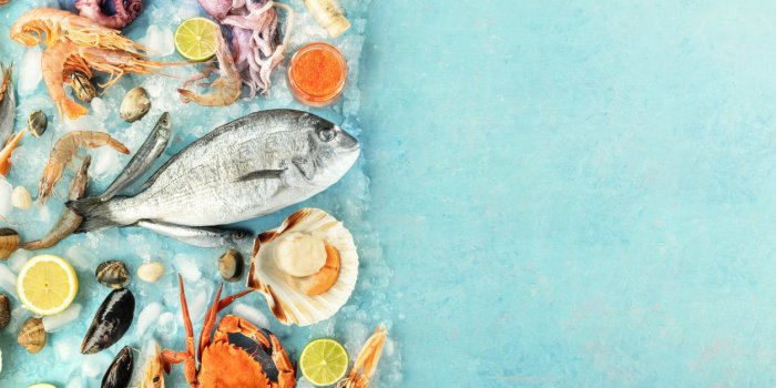 Fruits de mer : nos astuces pour savoir s'ils sont bien frais
