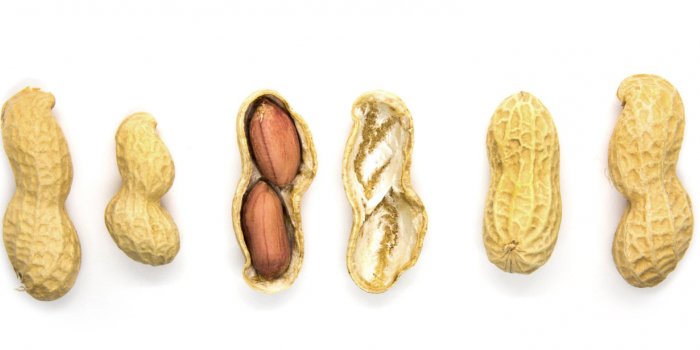 Cacahuètes : 5 bienfaits santé de ces légumineuses