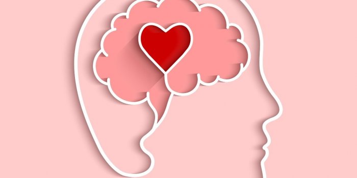 Alzheimer : quel est l'ordre d'apparition des symptômes ?