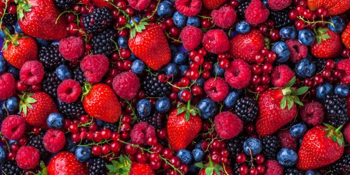 forest fruit berries overhead assorted mix in studio on dark background with raspberries, blackberries, blueberries, red ...