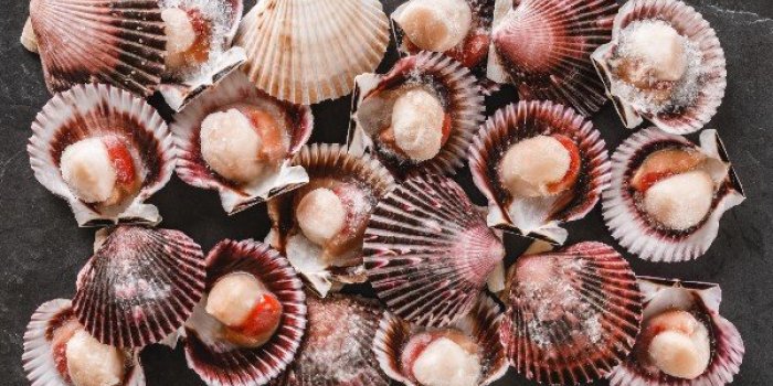 Quels fruits de mer contiennent le plus de microplastiques ?