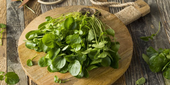 MICI : manger des légumes verts soulagerait vos intestins