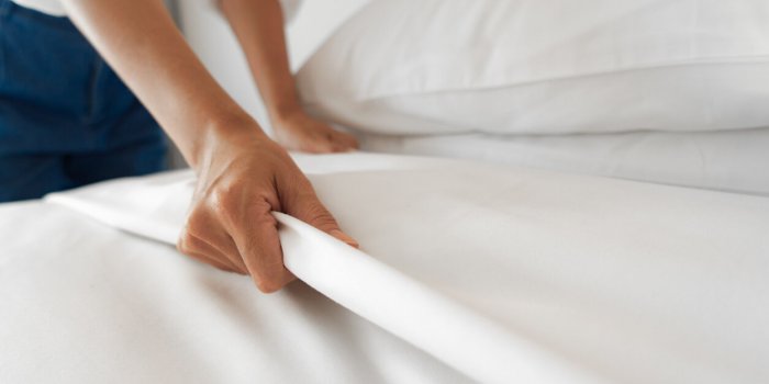 Punaises de lit : 5 maniÃ¨res de savoir si vous en avez chez vous