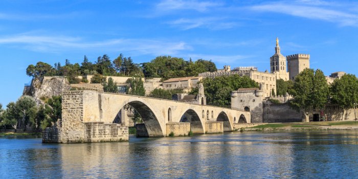 avignon bridge with popes palace, pont saint-benezet, provence, france