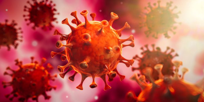 PandÃ©mie : 9 virus qui inquiÃ¨tent l'OMS